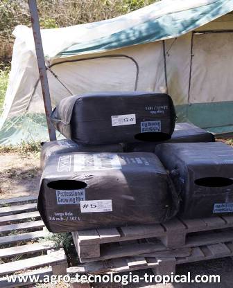 las pacas de sustrato son las mejores para hacer semilleros